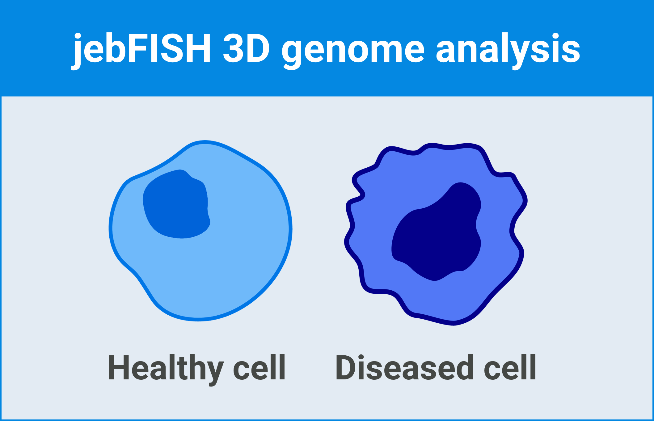 Bruker-3D-genome-front-BL-03b