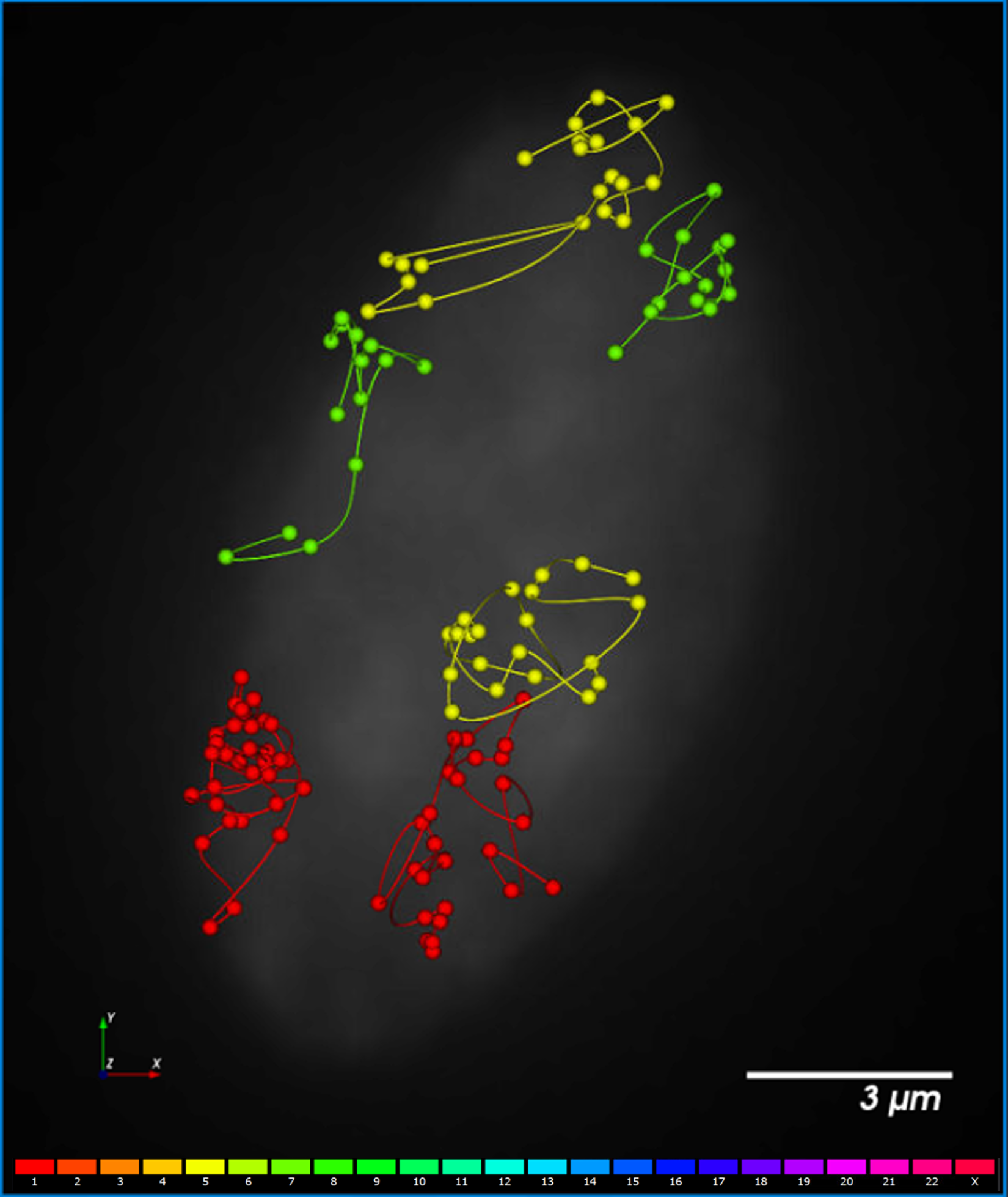 PaintScape-chromotrace-IMR90-cell4A-1-5-7 PaintScape-chromosome territories-IMR90-CH-1-5-7