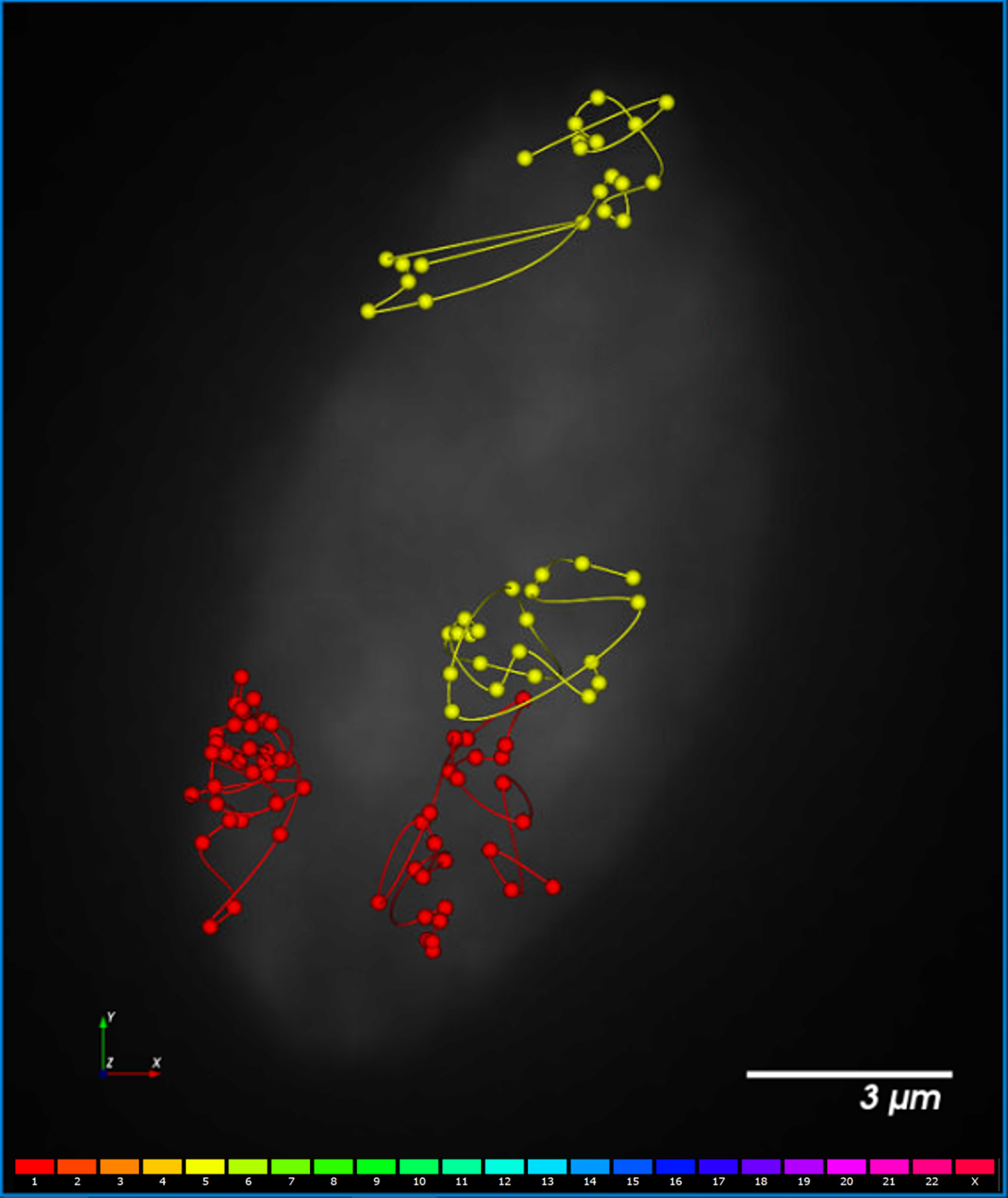 PaintScape-chromotrace-IMR90-cell4A-1-5 PaintScape-chromosome territories-IMR90-Ch-1-5