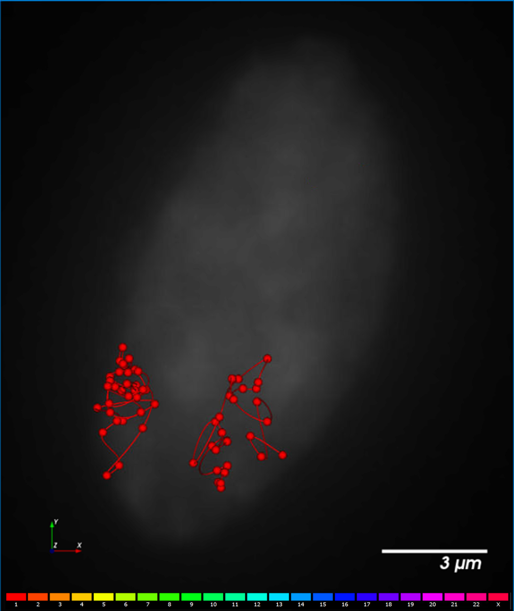 PaintScape-chromotrace-IMR90-cell4A-1 PaintScape-chromosome territories-IMR90-Ch1