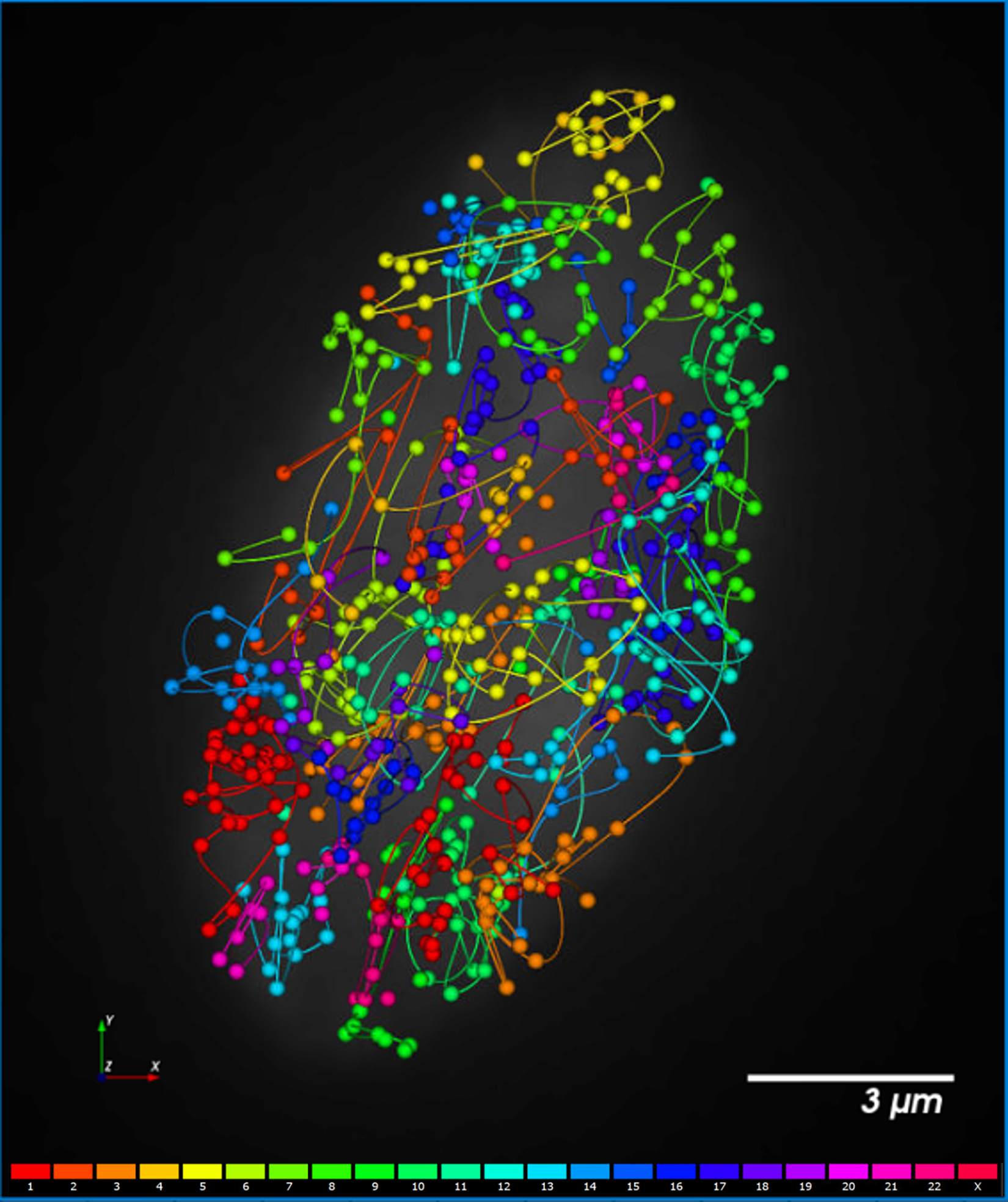 PaintScape-chromotrace-IMR90-cell4A-all PaintScape-chromosome territories-IMR90-ALL
