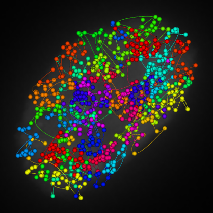 jebFISH-trace-chr-ALL-IMR90-cell24 jebFISH chromosome traces
