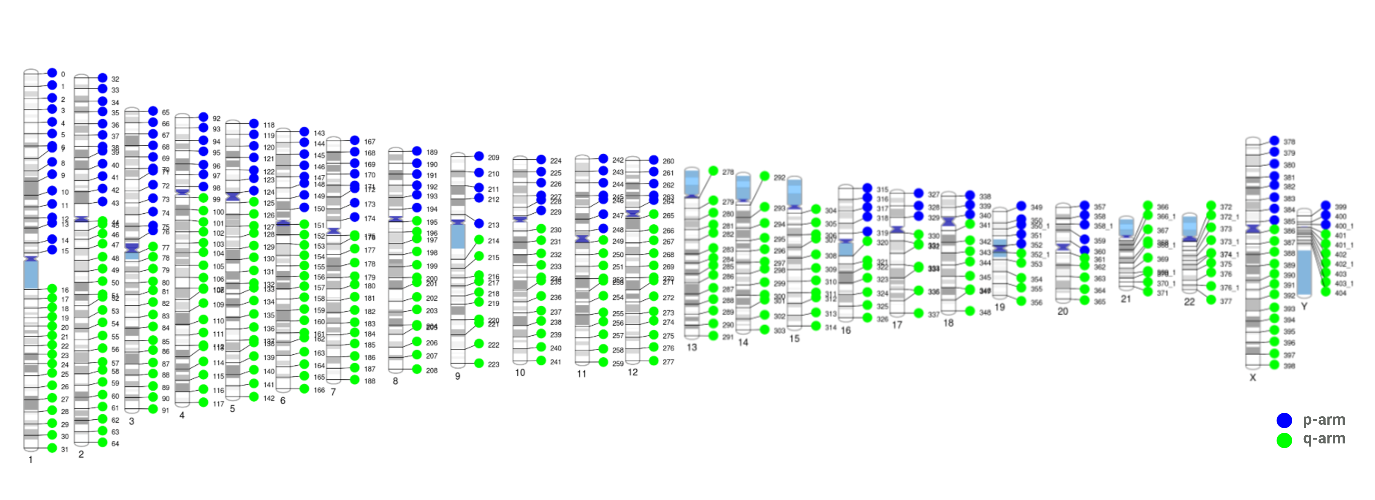 ChromoPaint-HuCL-PanChromo-MPX ChromoPaint™ 400+ plex genome target panel for jebFISH analysis on human cell lines