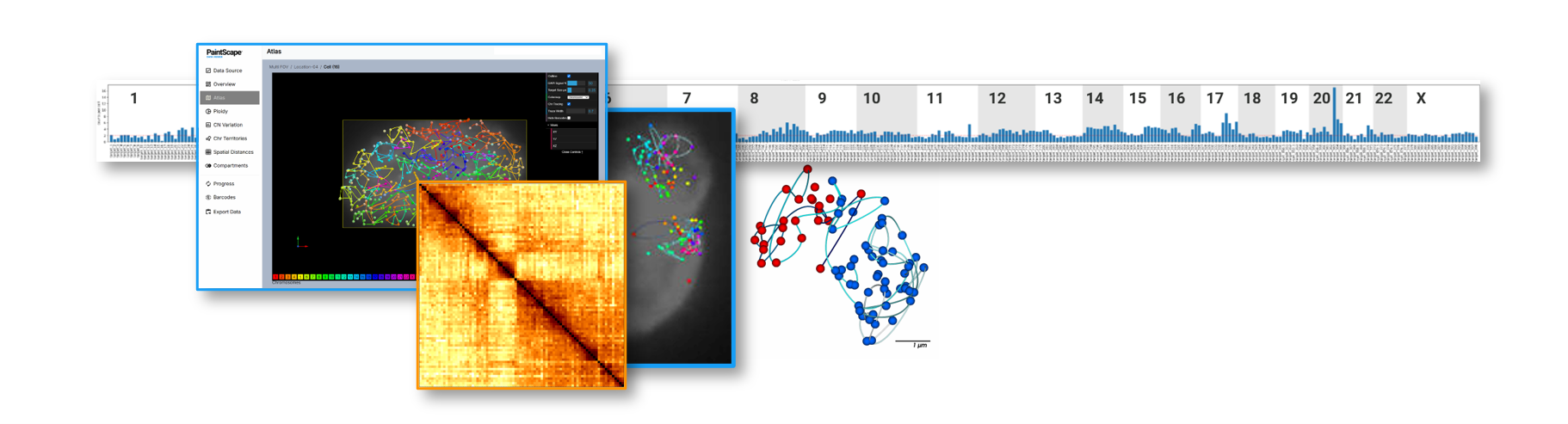 PaintScape-Data-Analysis-ToolsA jebFISH data