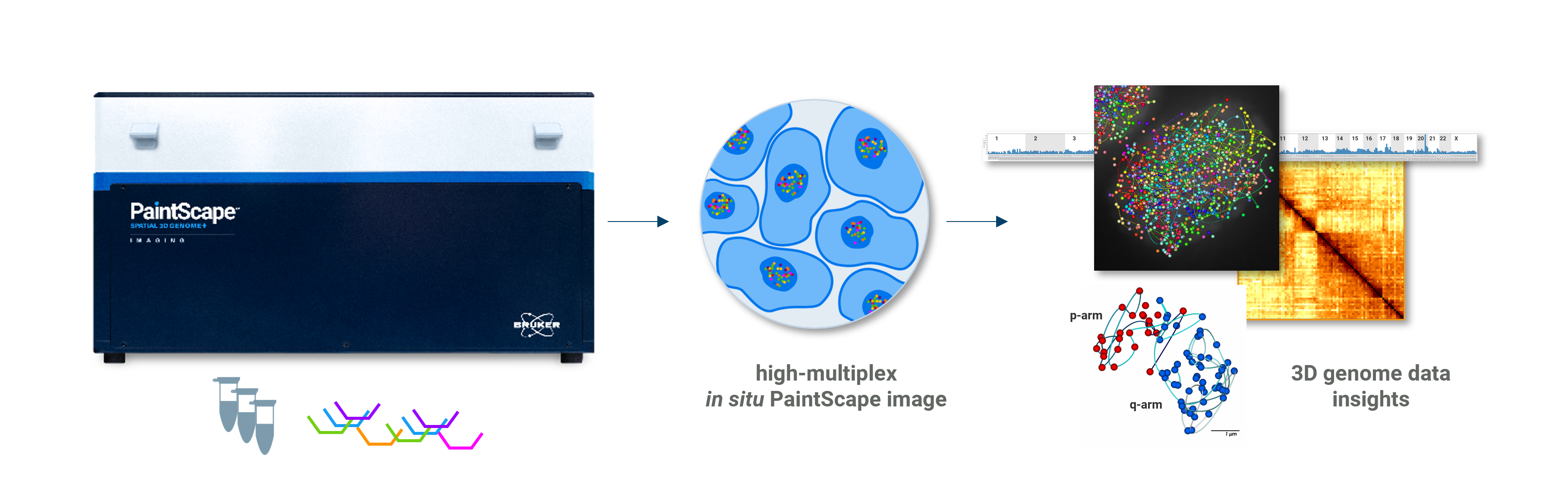 overview of jebFISH on the PaintScape™ platform