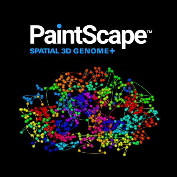 PaintScape direct in situ genome visualization