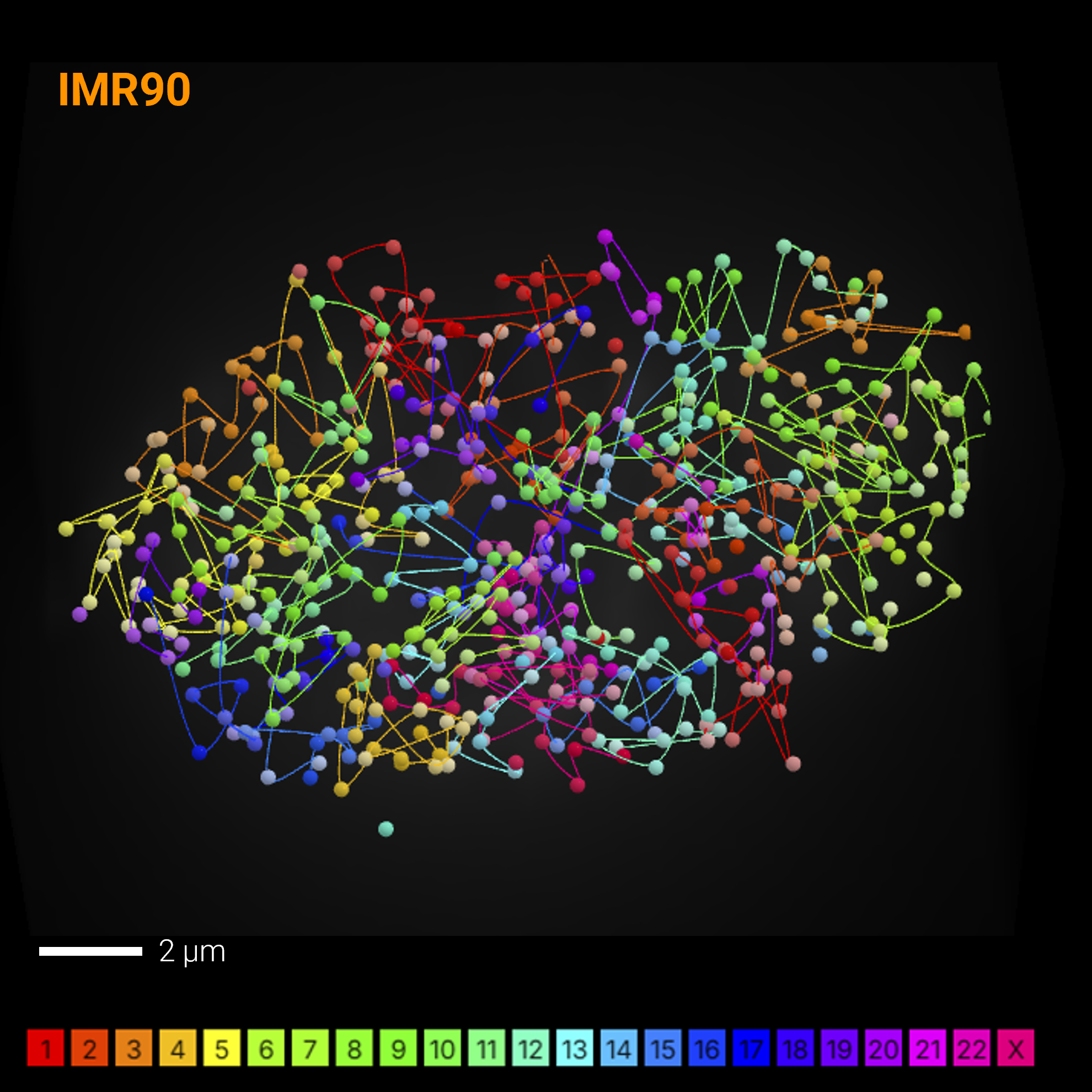 PaintScape-data-chromotrace-IMR90-ChromoPaint-MPX-cell14-sq PaintScape-data-chromotrace-IMR90-ChromoPaint-MPX-cell14