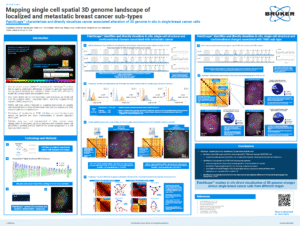 AACR-2025-PaintScape-poster2852-thumbnail
