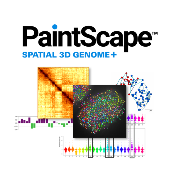 novel insights with PaintScape data and direct genome visualization