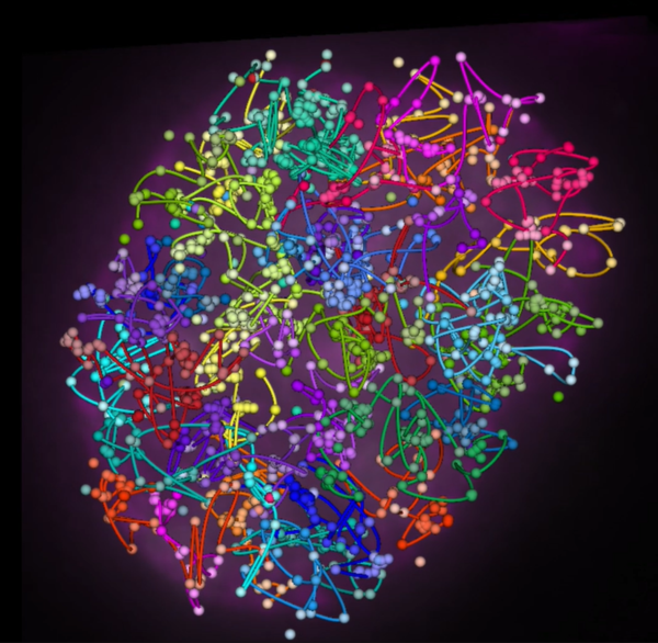 PaintScape image of IMR90 cell painted with a 1000+ plex OncoPaint panel