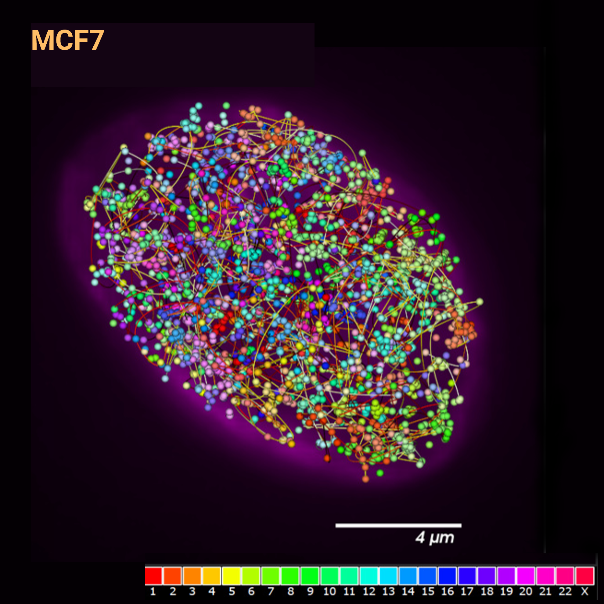 PaintScape-data-chromotrace-MCF7-OncoPaint-1000+