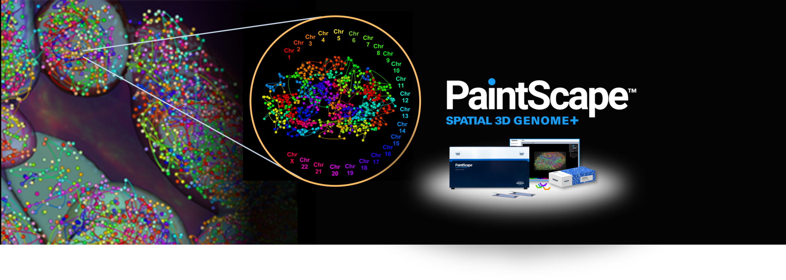 The PaintScape™ System