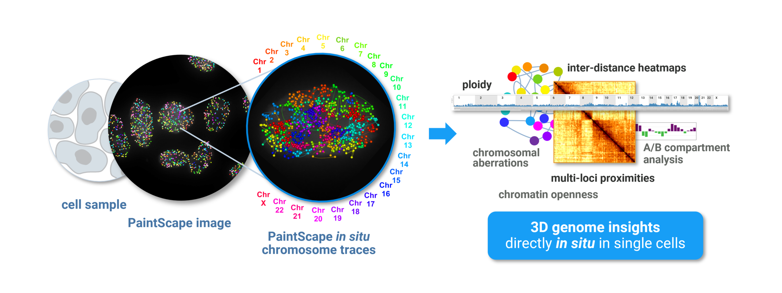 overview of jebFISH on the PaintScape™ platform